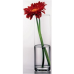 Ваза Pasabahce Flora h-26,5 см циліндрична 43767 Ваза Pasabahce Flora h-26,5 см циліндрична 43767